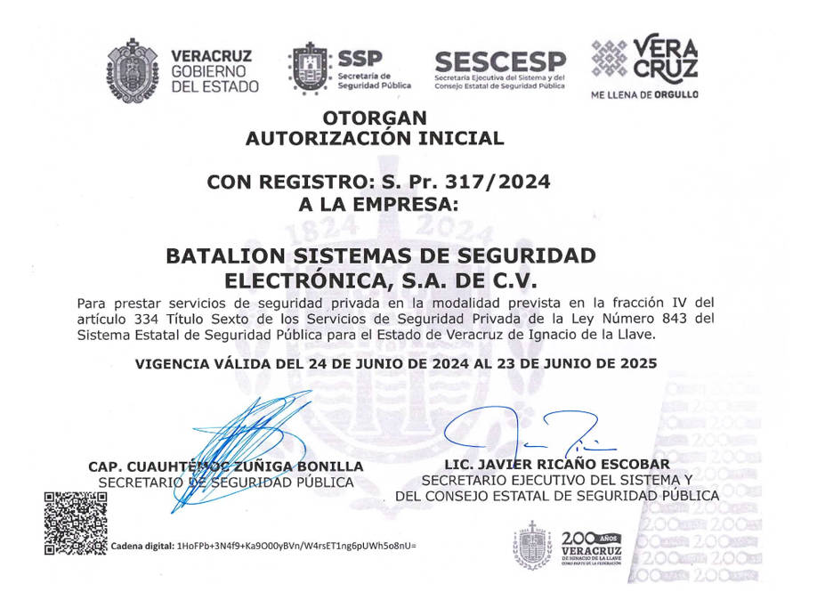 Seguridad Electrónica